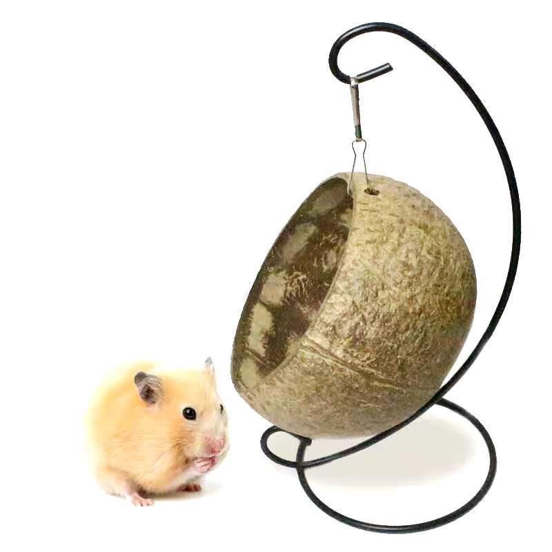 Coconut Shell Hanging Nest for Hamsters & Guinea Pigs - Pets Perfect