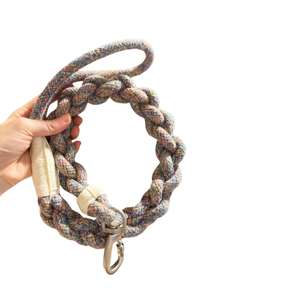 New: Handcrafted Rainbow Rover Dog Leash, Sustainable, view 4
