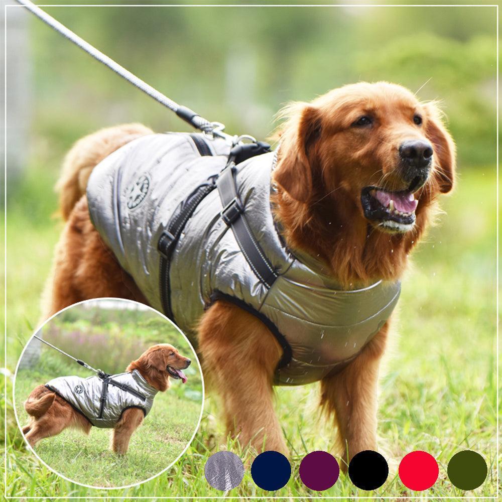 Winter Adventure Dog Coat: Waterproof, Harness - Compatible, And Stylish Pet Clothing - Pets Perfect