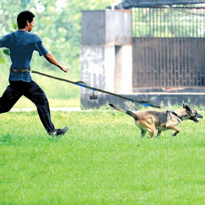 Ultimate Hands - Free Reflective Dog Leash With Multi - Function Features - Pets Perfect