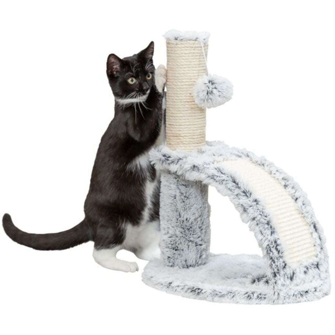 Trixie Cat Winnie Scratching Post With Massage Brush - Pets Perfect