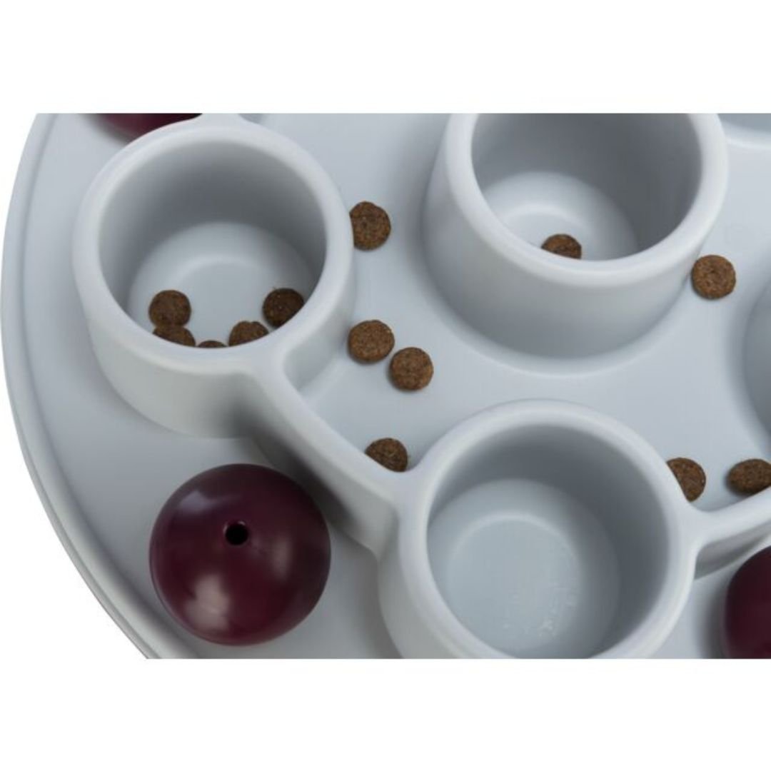 Trixie Cat Activity Pentagon - Pets Perfect
