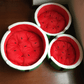 Juicy Oasis Pet Bed - Pets Perfect