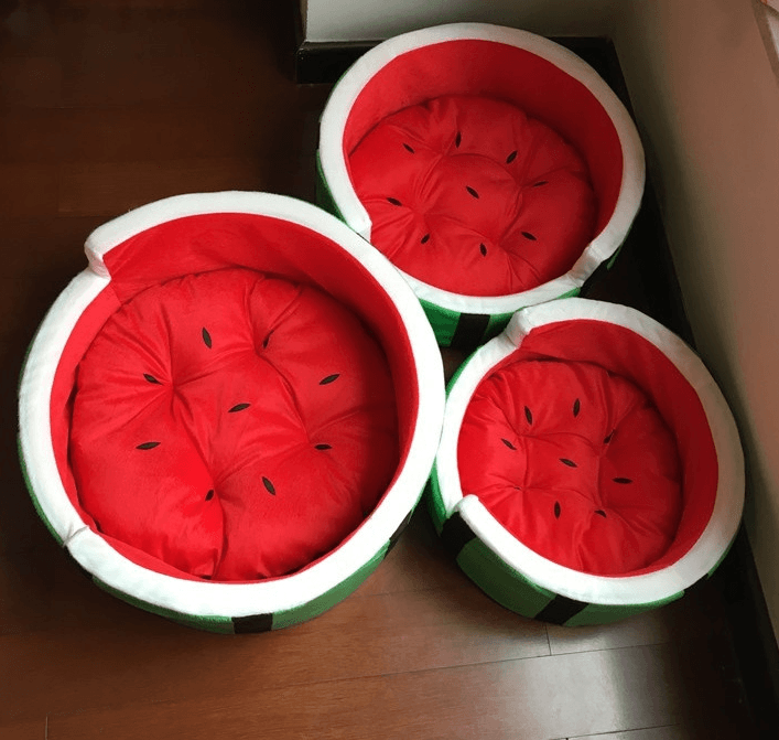 Juicy Oasis Pet Bed - Pets Perfect