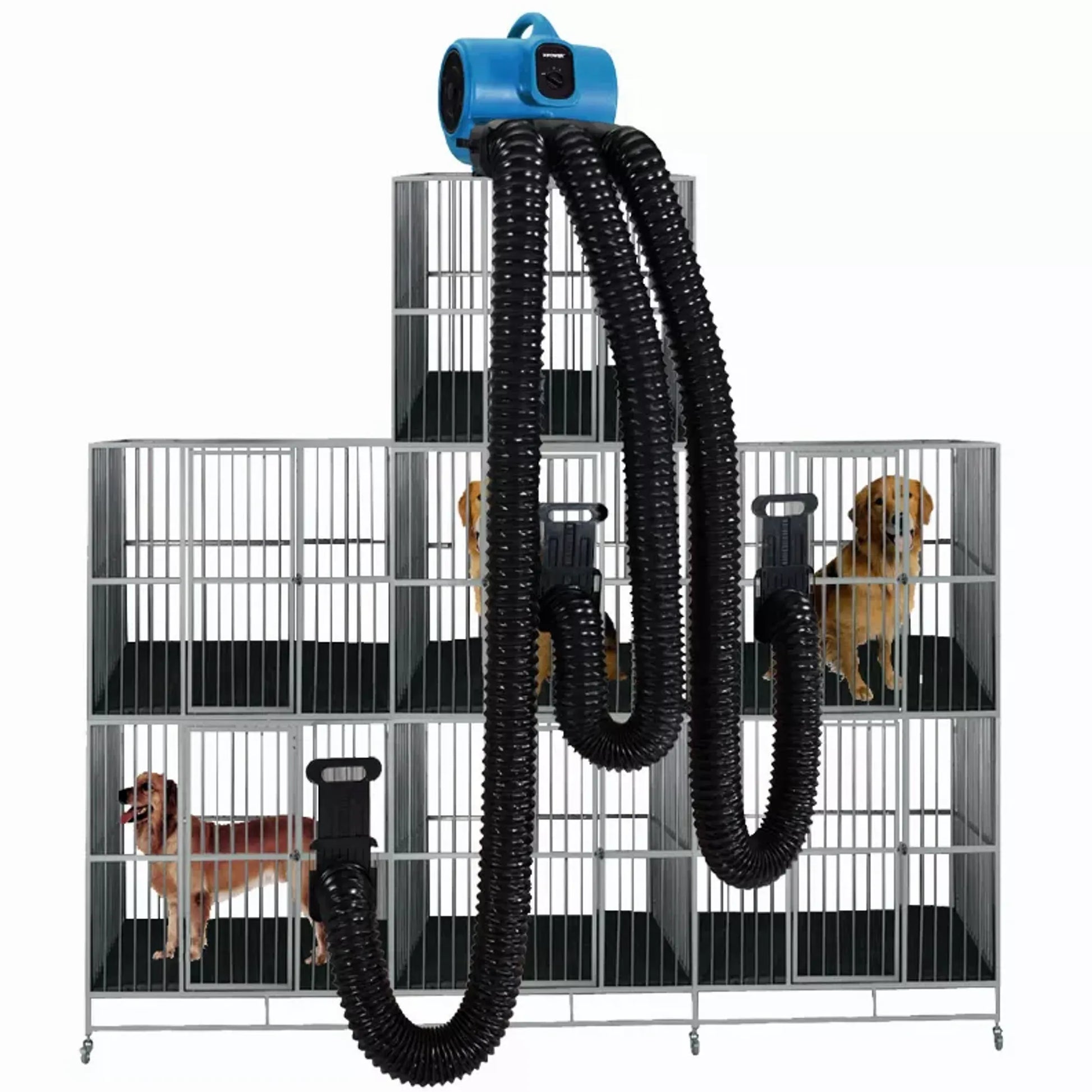 XPOWER X - 430TF - MDK Professional 3 Speed Pet Grooming Dog Cage Dryer with Multi Drying Hose Kit, Timer & Filters - Pets Perfect
