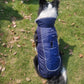 Ultimate Warmth Reflective Dog Coat - Winter Safety Jacket with Fur Collar - Pets Perfect