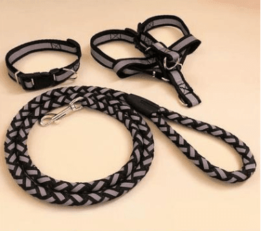 Ultimate Comfort Dog Leash - Pets Perfect
