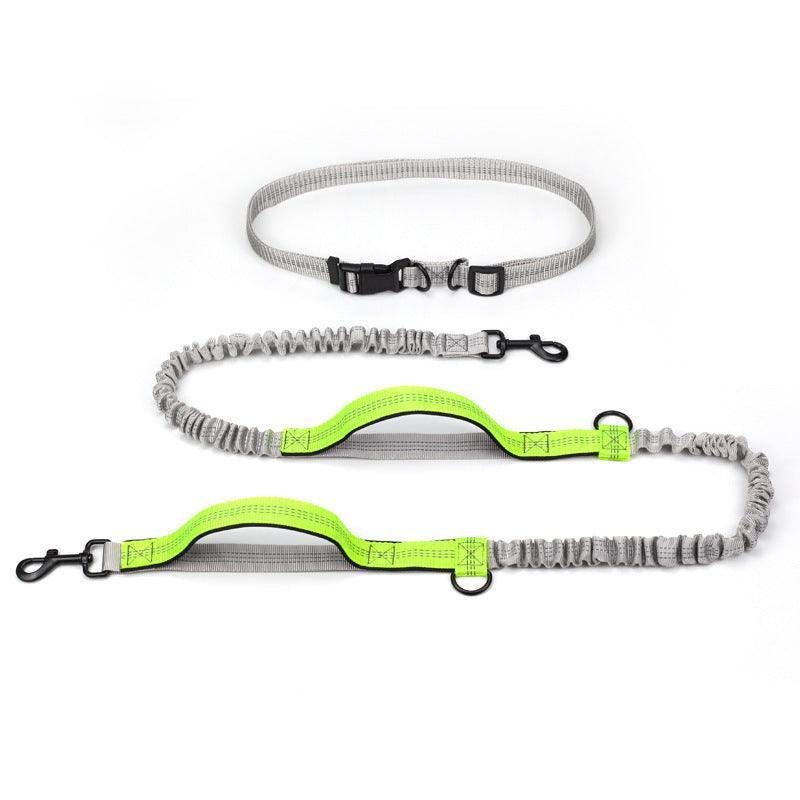 Ultimate Outdoor Adventure Dog Leash - Pets Perfect