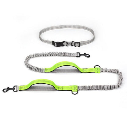 Ultimate Outdoor Adventure Dog Leash - Pets Perfect