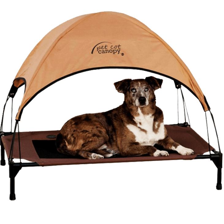 Elevated Breathable Dog Bed - Oxford Cloth - Pets Perfect