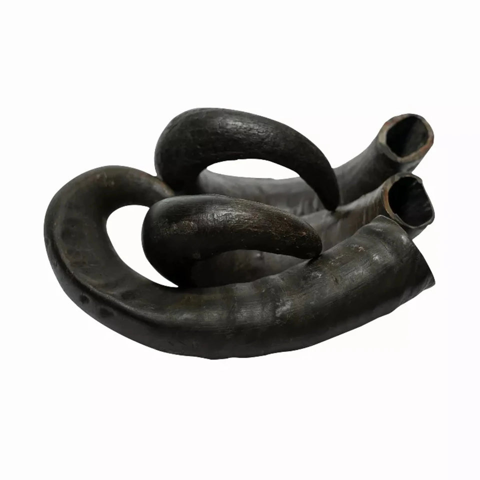 WATER BUFFALO HORN-100% Natural, Long-Lasting, Grain-Free, Gluten-Free, Dog Dental Dog Treats & Chews-2 ct-15 oz - Pets