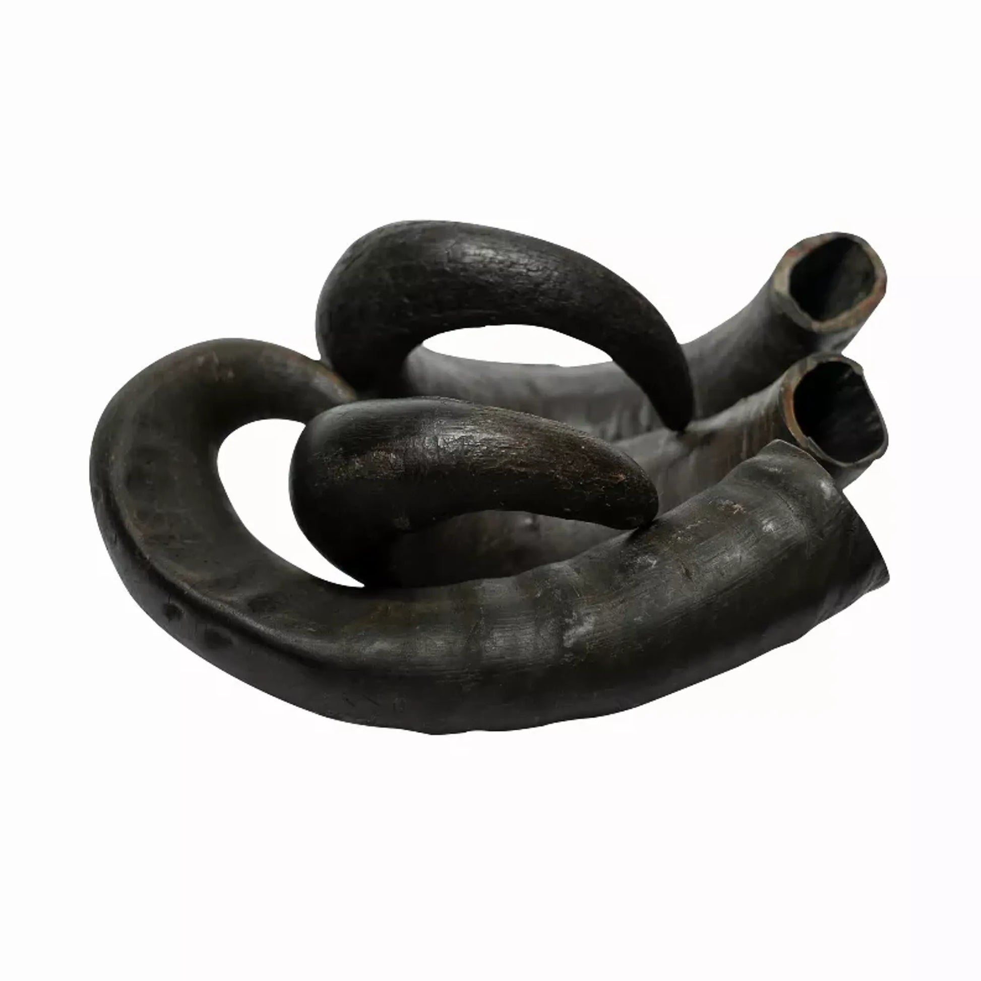 WATER BUFFALO HORN - 100% Natural, Long - Lasting, Grain - Free, Gluten - Free, Dog Dental Treats & Chews - 2 COUNT - 15 oz - Pets Perfect