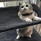 Luxury Cat Hammock Bed With Super Suction Cup - Removable And Washable - Pets Perfect