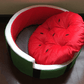 Juicy Oasis Pet Bed - Pets Perfect
