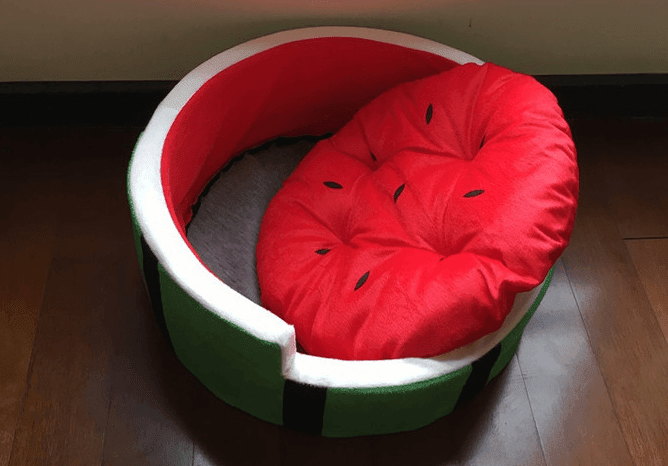 Juicy Oasis Pet Bed - Pets Perfect