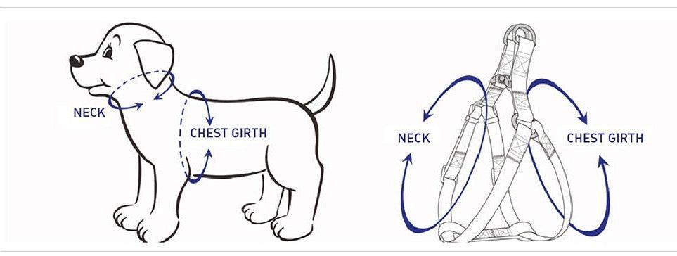 STEP IN HARNESS - MINT GREEN