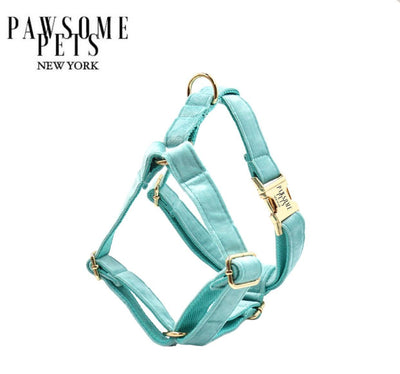 Step-in Dog Harness, Mint Green