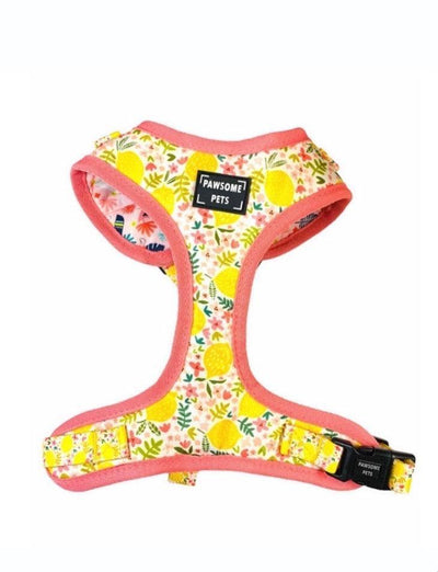 Adjustable Dog Harness, Oh My Lemon