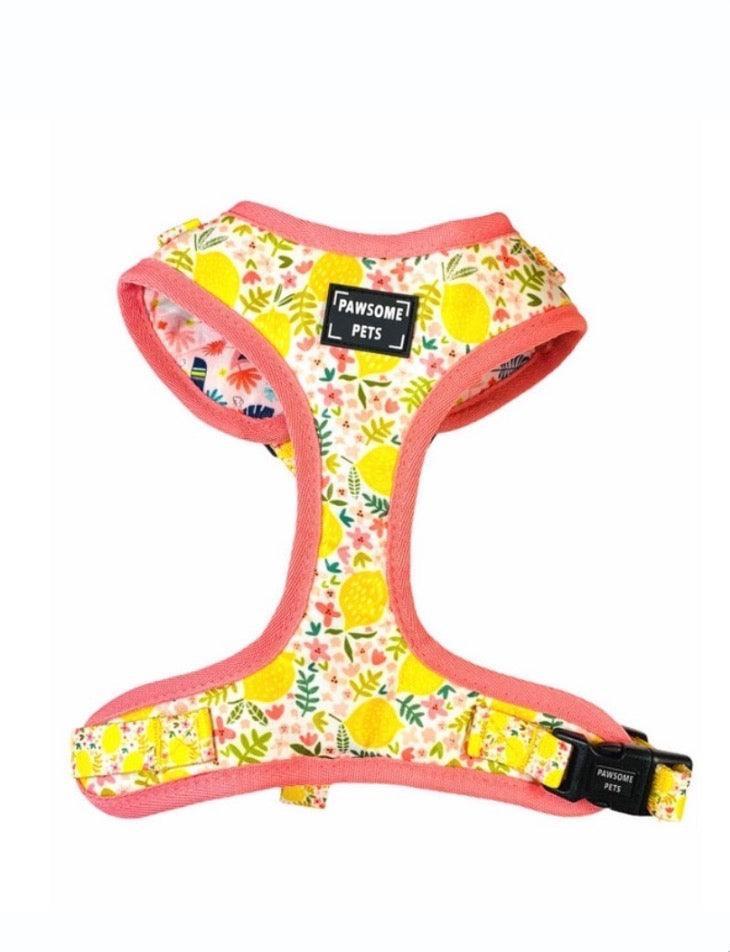 Adjustable Dog Harness, Oh My Lemon