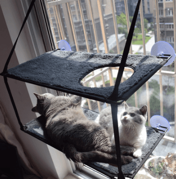Luxury Cat Hammock Bed With Super Suction Cup - Removable And Washable - Pets Perfect