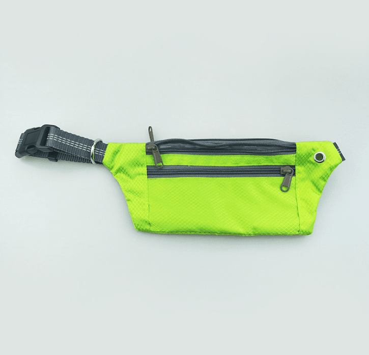 Hands - Free Dog Leash: The Ultimate Freedom For Active Dog Owners - Pets Perfect