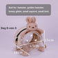 Pet Paradise Portable Hamster Cage - Travel Carrier with Going Out Bag for Small Pets - Pets Perfect