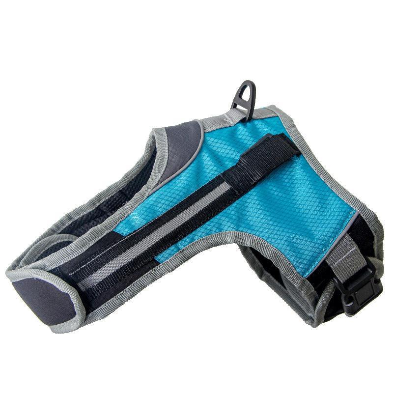Durable Nylon Pet Dog Leash: The Perfect Companion For Walks And Adventures - Pets Perfect