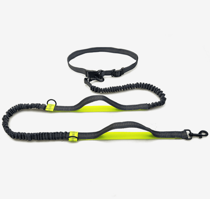Ultimate Hands - Free Reflective Dog Leash With Multi - Function Features - Pets Perfect