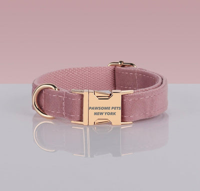 Pawsome Pets Adj. Nylon Dog Collar #12, XS