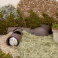 Golden Silk Bear Ceramic Hamster Zisha Tunnel Room - Ultimate Luxury Hamster Habitat - Pets Perfect