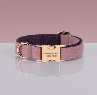 Pawsome Pets Adj. Nylon Dog Collar #13, XS