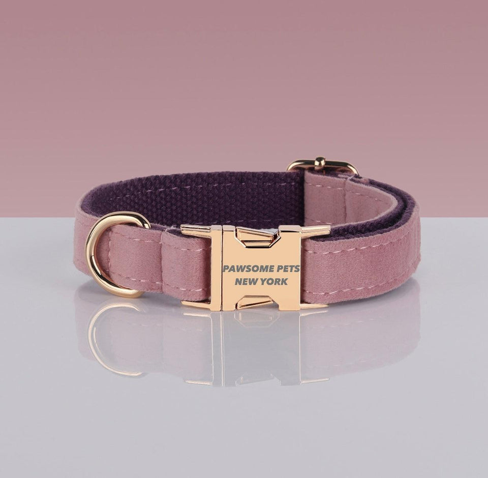 Pawsome Pets Adj. Nylon Dog Collar #13, XS