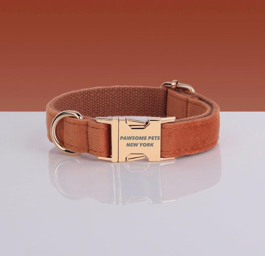 Adjustable Nylon Dog Collar - Quick-Release Buckle