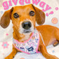 ADJUSTABLE HARNESS - SMILE EVERYDAY - Pets Perfect