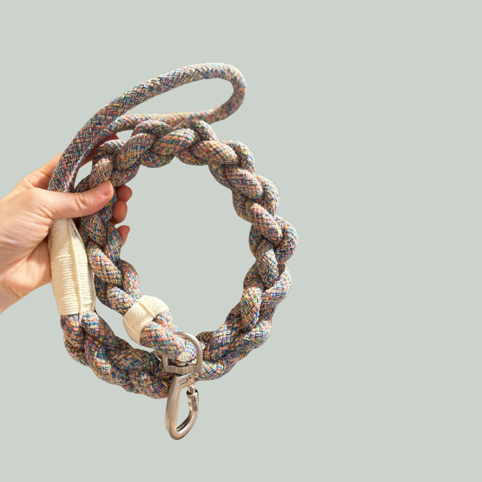 New: Handcrafted Rainbow Rover Dog Leash, Sustainable, view 5