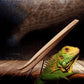 Pet Reptile Bamboo Tweezers Set - Essential Feeding Tools For Crawling Pets - Pets Perfect