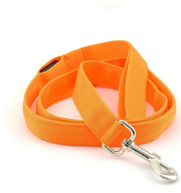 Glowing Pet Leash - Illuminated Led Dog Leash - Pets Perfect