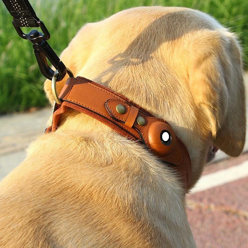 Premium Leather Dog Collar with Location Tracking - AirTag Compatible Collar for Safety - Pets Perfect