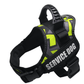 Explosafe Pet Leash: The Ultimate Safety Harness For Your Furry Friend - Pets Perfect