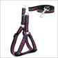 Pet Adventure Chest Strap Leash - Premium Quality Dog And Cat Walking Harness - Pets Perfect