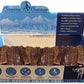 Canine Caviar Buffalo Jerky Flat Treats 6 Inch 35 Pack