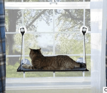 Luxury Cat Hammock Bed With Super Suction Cup - Removable And Washable - Pets Perfect