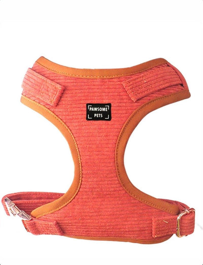 Adjustable Dog Harness, Carrot