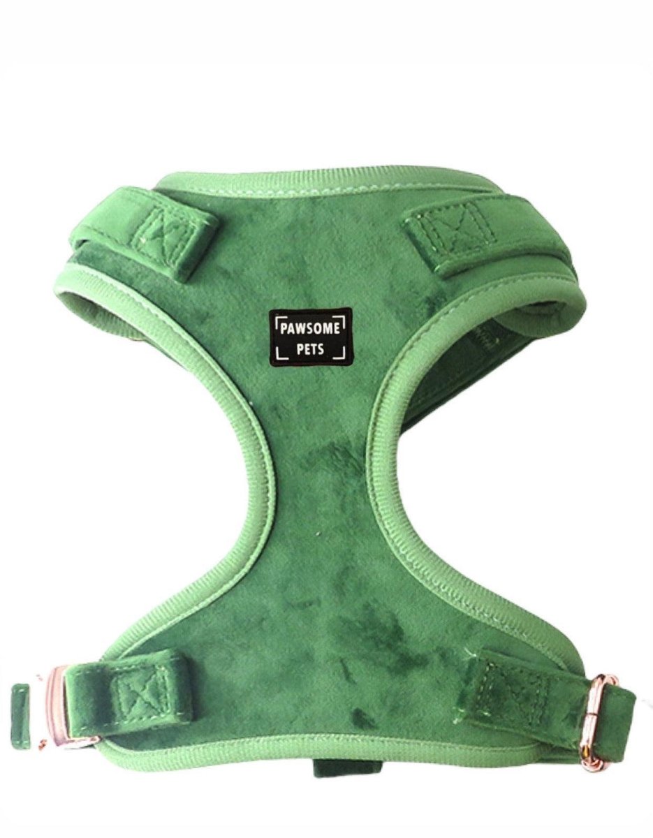 Adjustable Dog Harness, Celeste, view 2