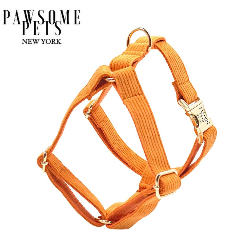 Step-in Dog Harness, Orange