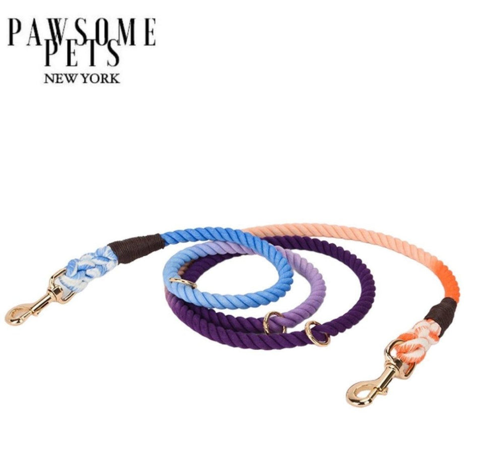 Hands-Free Dog Rope Dog Leash - Oceanside Rainbow