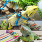 Lizard Adventure Harness And Leash Set - Pets Perfect