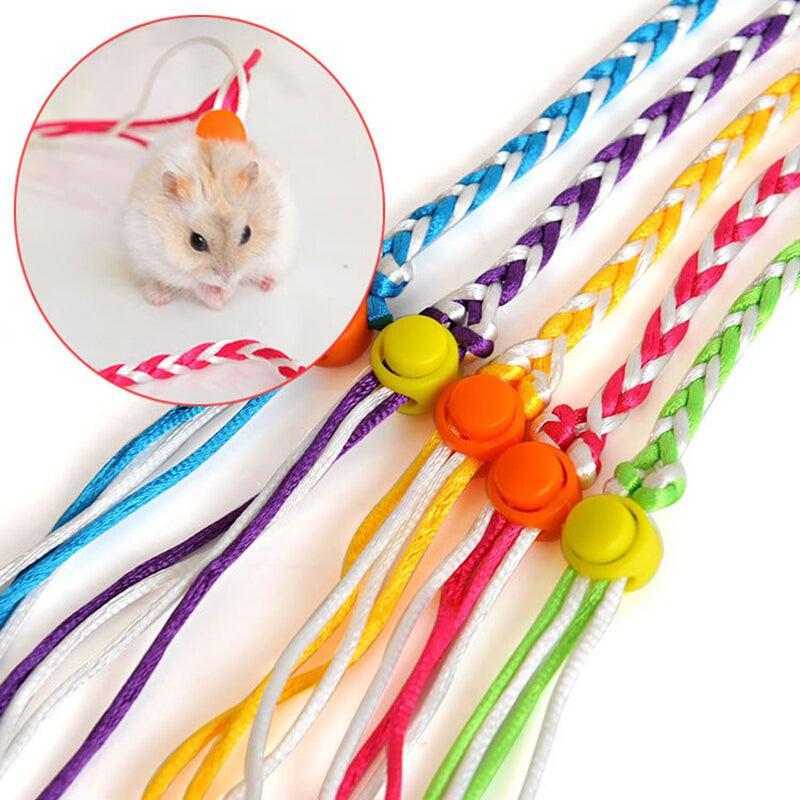 Soft And Secure Hamster Adventure Rope - Pets Perfect