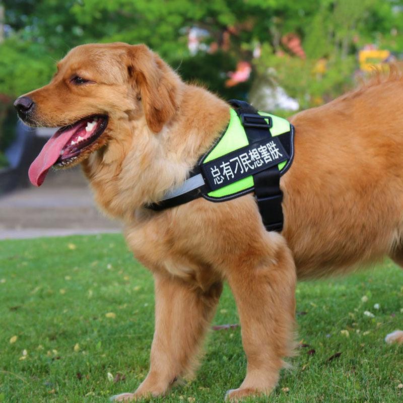 Ultimate Pet Adventure Set: Adjustable Chest Harness With Dog Leash - Pets Perfect