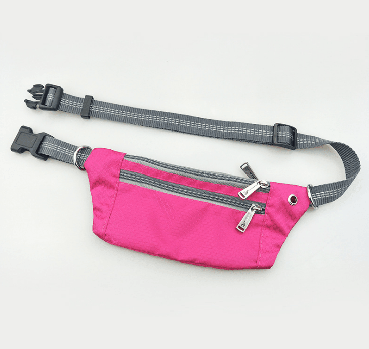 Hands - Free Dog Leash: The Ultimate Freedom For Active Dog Owners - Pets Perfect